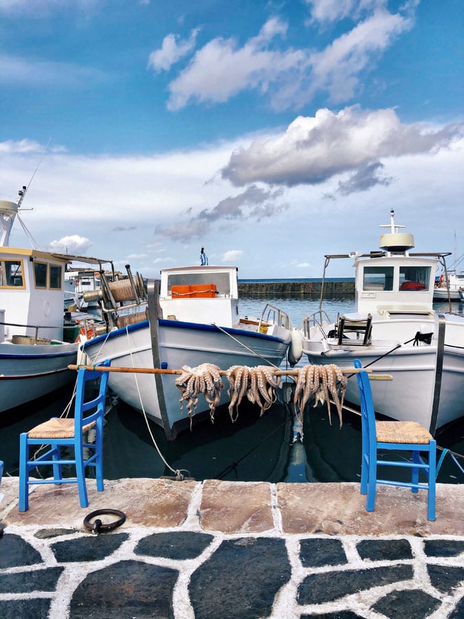 Fresh Octopus at the harbour in Corfu